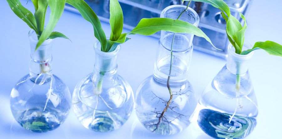 Mes cuml dia sed ineniasinge dolor commete ipsum comnetus.